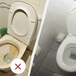 Egy teáskanálnyit közvetlenül a WC-csészébe, és hagyja ott egy éjszakán